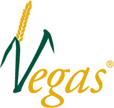 Vegas-Logo