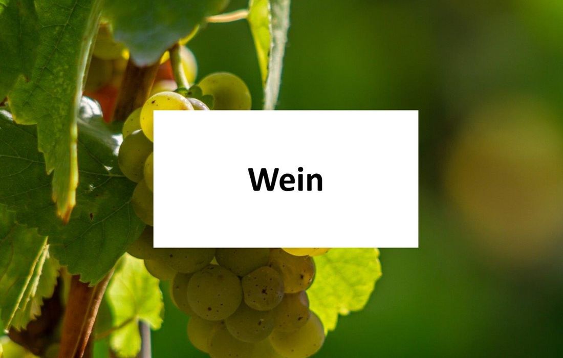 ökologischer Weinbau
